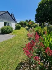 entretiens exterieur et fleur réalisation Abord-age